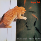Edition limitée Chambres Sensibles - 2007 - Angry fish - Bernard Gast